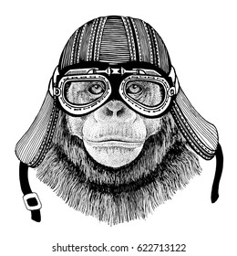 Chimpanzee Monkey Hand Drawn Image Of Animal Wearing Motorcycle Helmet For T-shirt, Tattoo, Emblem, Badge, Logo, Patch