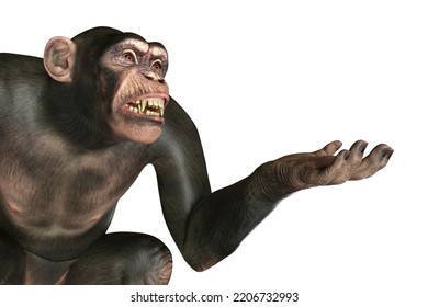 Chimpanzee Monkey Sitting With One Arm Ready To Hold Something, 3D Illustration