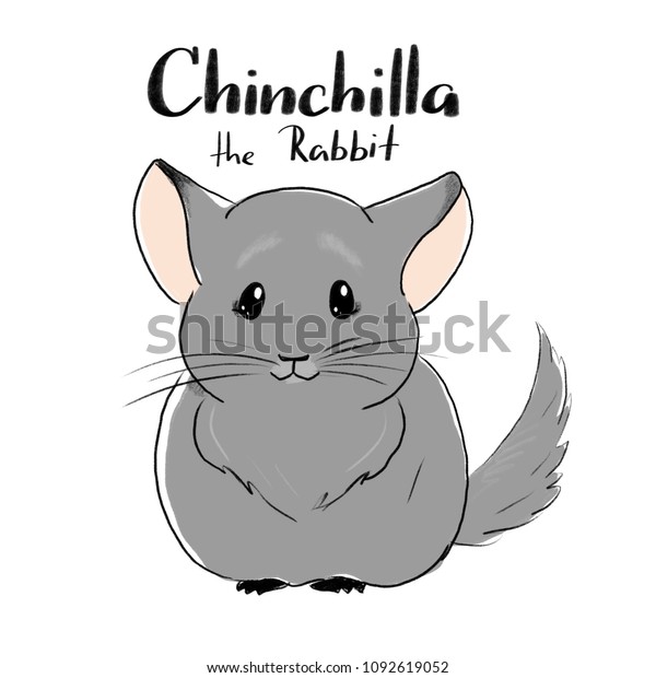 Chinchilla Illustration Zoo Pet Shop Animal のイラスト素材