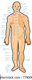Chinese acupuncture points, with native hieroglyphic names, raster from vector illustration