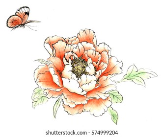 Chinese traditional hand painted color drawing  peony butterfly