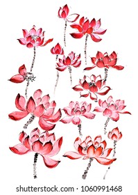 Chinese-style drawings, sketches, Lotus,Water Lily