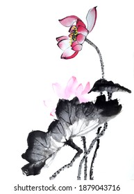 Chinese-style drawings, sketches, Lotus,Water Lily
