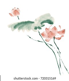 Chinese-style drawings, sketches, Lotus,Water Lily
