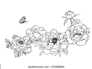 Chinese  style drawings  sketches  peony butterfly