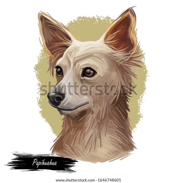 白い背景にかわいい犬の鼻を描いた チオン パピワ パプチ チアパプのクロスタイプのパピロンとチワワの子犬のデジタルアートイラスト 子犬のお気に入りのペット 手描きのポートレート のイラスト素材