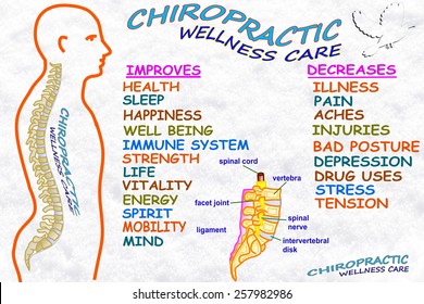 Chiropractic Wellness Care Therapy Related Words