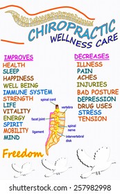 Chiropractic Wellness Care Therapy Related Words