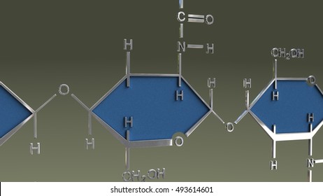 107 Chitin molecule Images, Stock Photos & Vectors | Shutterstock