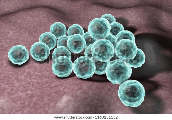 Chlamydia Trachomatis Bacteria 3d Illustration Causative 스톡 일러스트 1160251132 1430