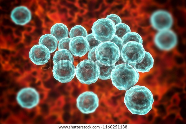 Chlamydia Trachomatis Bacteria 3d Illustration Causative 스톡 일러스트 1160251138 Shutterstock 5144