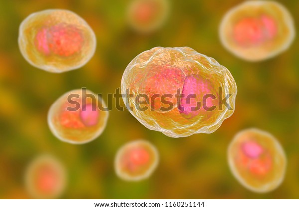 Chlamydia Trachomatis Bacteria 3d Illustration Showing 스톡 일러스트 1160251144 Shutterstock 4612