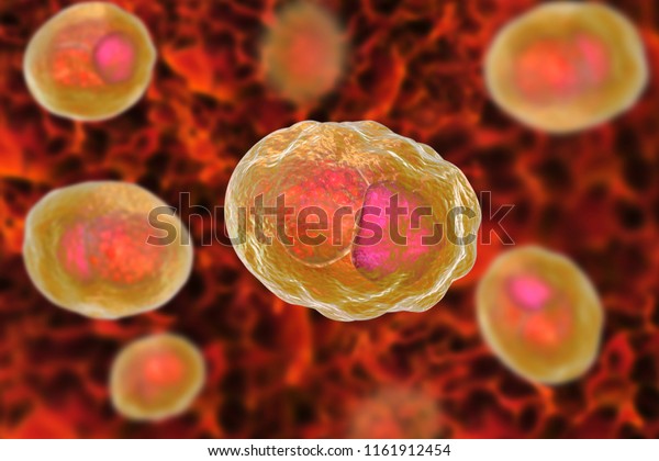 Chlamydia Trachomatis Bacteria 3d Illustration Showing Stock Illustration 1161912454 Shutterstock 3605