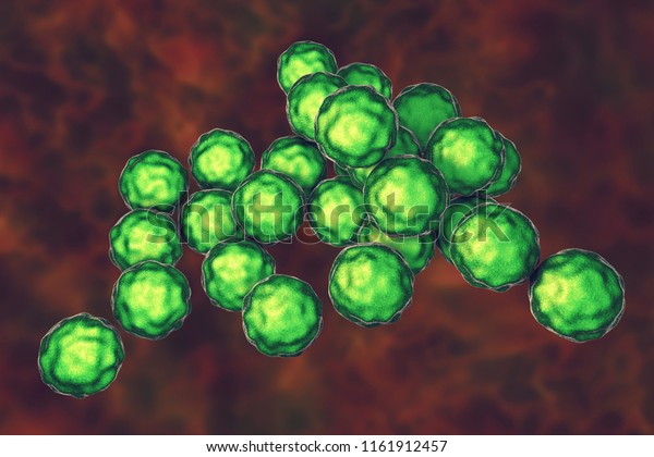 Chlamydia Trachomatis Bacteria 3d Illustration Causative Stock Illustration 1161912457 5180