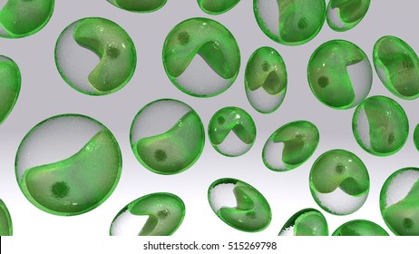 Chlorella 3d Illustration