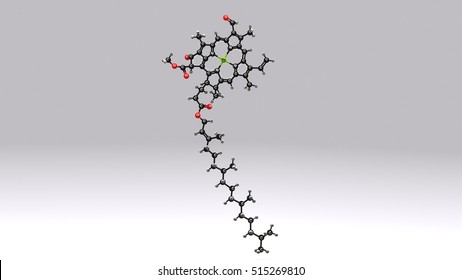 Chlorophyll B Structure 3d Illustration Stock Illustration 515269810 ...