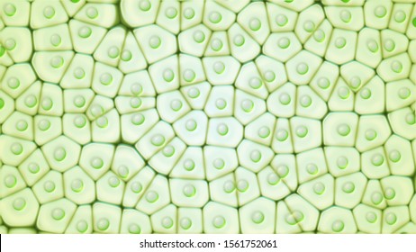 Chloroplast eukaryotic cell. Green microscopic formation in a plant cell. Research and genetic engineering. Biology and science concept. GMO DNA High Quality illustration