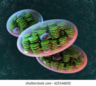 Chloroplast on a blue background. Cellular organelle. 3d image