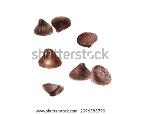 Chocolate drops watercolor isolated on white background