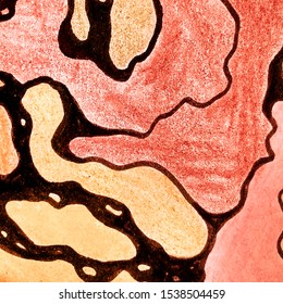 Chocolate Virus Or Bacteria Cells. Curry Topographic Map Contour. Brownish Neuron Anatomy Imitation. Amber Science Network Lines. Connected Energy Line. Cinnamon Neuroart Background.