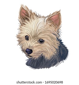 犬 イラスト 顔 正面 Hd Stock Images Shutterstock