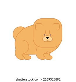 Chow Chow Isolated. Dog For China . Pet  
