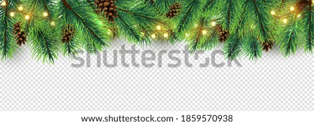 Similar – Image, Stock Photo branches of needles on a green background