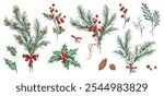 Christmas bouquets and branches, cones, berries and plants. Watercolor set.