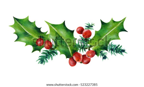 クリスマスの支店 柊の葉と赤い漿果 白い背景に水彩イラスト 手描き のイラスト素材