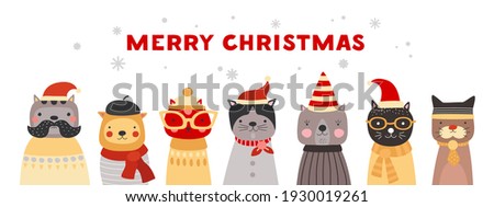 Similar – Image, Stock Photo Cat in hat Domestic cat