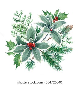 Christmas illustration. Hand drawn plants on a white background