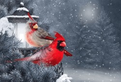 Christmas, New Year Festive Background, Two Red Cardinal Birds Sit On A Spruce Branch In The Snow Near A Glowing Lantern In The Park, 3d Rendering