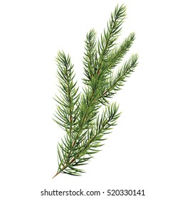 Christmas Tree Branch Transparent Images Stock Photos Vectors Shutterstock