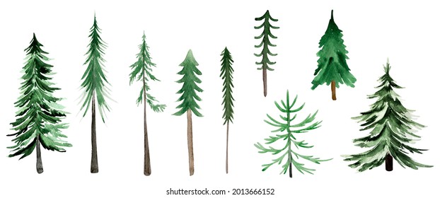 Christmas trees watercolor set of elements. Template for decorating designs and illustrations.