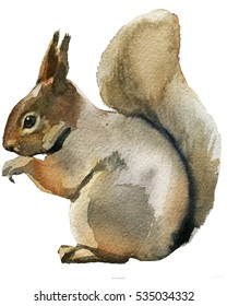 Christmas Watercolor Painting Squirrel.