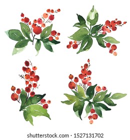 Christmas watercolor set of bouquet arrangings. Holly berries with green leaves