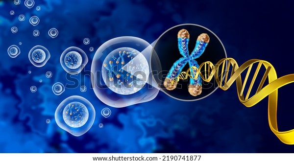 Chromosome\
and cell nucleus with telomere and DNA concept for a human biology\
x structure containing dna genetic information for gene therapy or\
microbiology genetics as a 3D\
illustration.