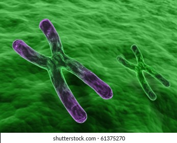 Chromosome Color Ends Stock Illustration 61375270 | Shutterstock