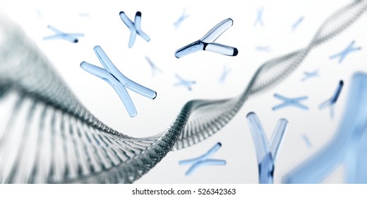 Chromosome. DNA. 3d Rendering.