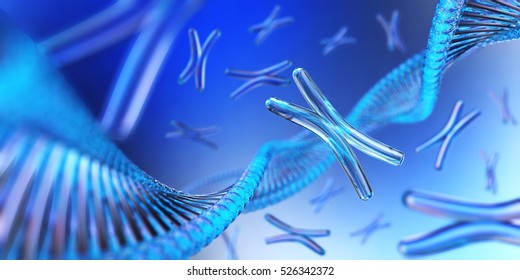 Chromosome. DNA. 3d Rendering.