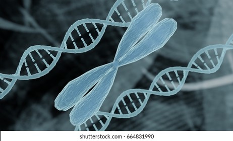 Chromosome And DNA Representation Bioinformatics Biotechnology Concept, Chromosome DNA Strand Helix On Medical Bioinformatics Biotechnology Background Holographic Medical Design  3D Render 