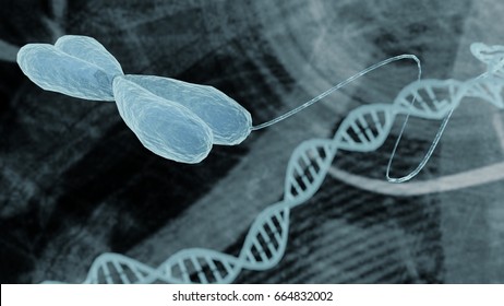 Chromosome And DNA Representation Bioinformatics Biotechnology Concept, Chromosome DNA Strand Helix On Medical Bioinformatics Biotechnology Background Holographic Medical Design  3D Render 