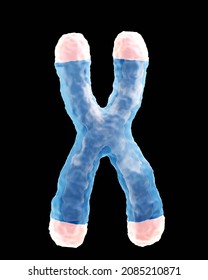 Chromosome with highlighted telomeres, 3d illustration