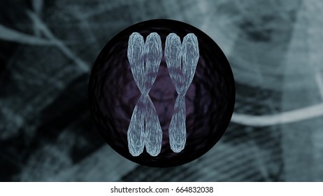 Chromosome Inside Cell Representation Bioinformatics Biotechnology Concept, Chromosome Cell On Medical Bioinformatics Biotechnology Background Holographic Medical Design  3D Render 