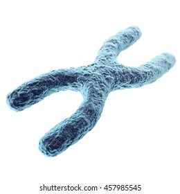 Chromosome isolated on white background. with depth of field effect, scientific concept. 3d illustration