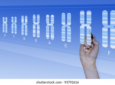 Chromosome research for biomedical analysis of genetic abnormalities