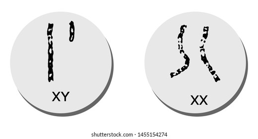 Xy Chromosome Images Stock Photos Vectors Shutterstock