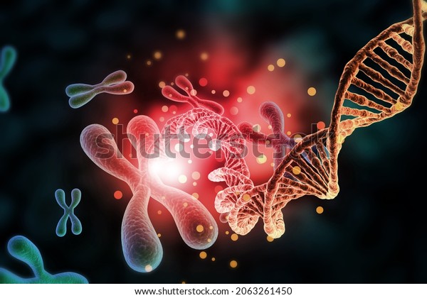 Chromosome\
structure with dna. 3d\
illustration	