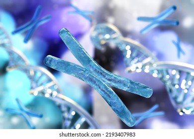 Chromosome, X Chromosome, Human Gene, Heredity, Chromosome On A Blurred Background, 3D Rendering