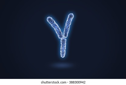 Chromosome Y